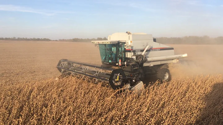 Gleaner R62 combining soybeans in 2016