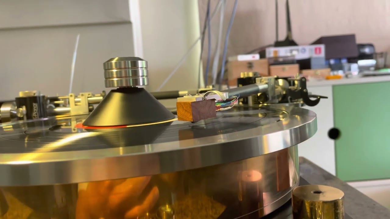 Wayne's Audio Turntable Periphery Stabilizing Outer Ring and Record