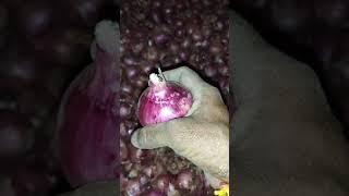 प्याज स्टॉक (onion stock process) के बाद उसकी जाँच कैसे करे।