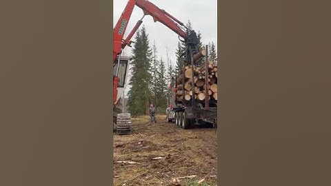 Loading Logs! #phonk #music #song #loader #logging #viral