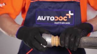 Cum se înlocuiesc suporturile de amortizoare spate pe FORD FIESTA 5 TUTORIAL | AUTODOC