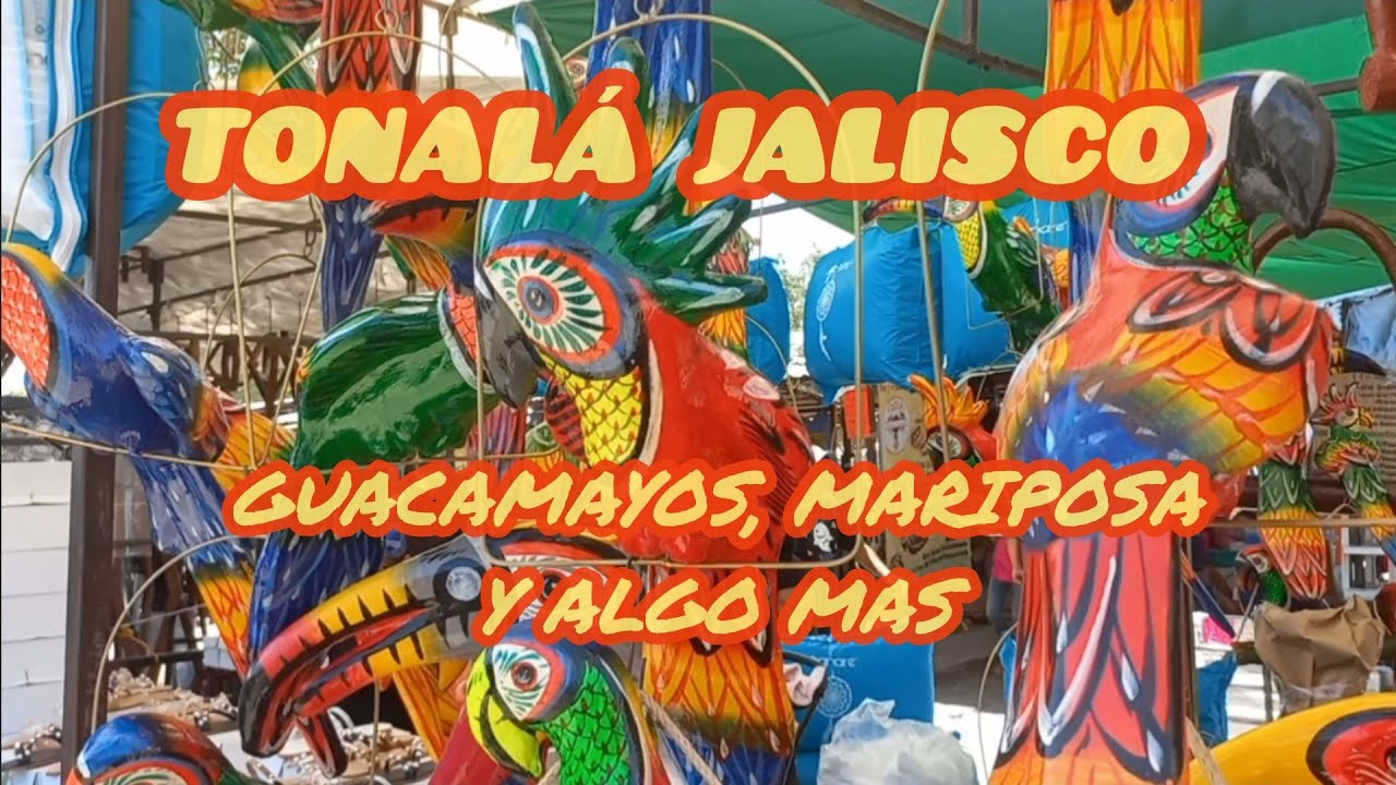 TONALÁ JALISCO MÉXICO. #LALOMOCHILERO. MARIPOSAS, GUACAMAYAS Y ROPA DE MANTA.  - YouTube