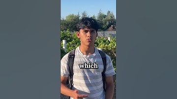 Can I Make $3,000 With AI Bots In 2 Weeks?💸(Day 3)