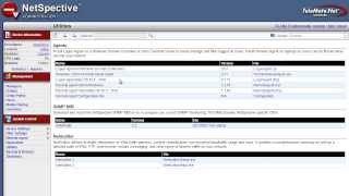 NetSpective Authentication Options Profile
