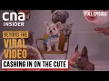 The Ugly Realities Behind Cute Viral Videos | Beyond The Viral Video | CNA Documentary