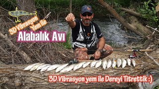 Derede Alabalık Avı | 3D Vibrasyon Yem ile Çok Güzel Balıklar Kandırdık | Sagavear 3D Minnow Blade