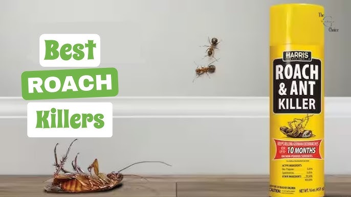 The 5 Best Roach Killers of 2023