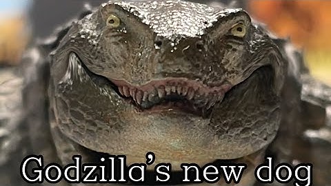 Godzilla gets a Dog (funny animation short) 