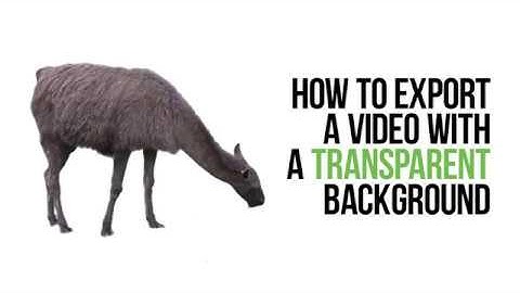 How to export a video with a transparent background in VSDC Free Video Editor