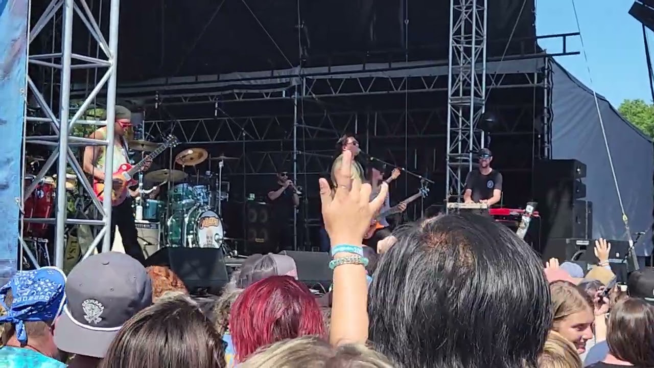 The Elovaters - Sunshine - Levitate Fest 2022