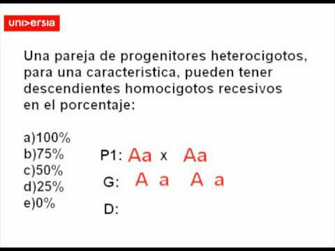que es un organismo homocigoto que es un organismo homocigoto