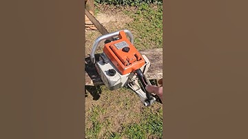 Biggest vs Smallest - Stihl Chainsaw Collection #vintage