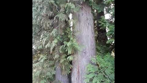 CISSP 10 63 Internet RFC 1087 20240911 142247