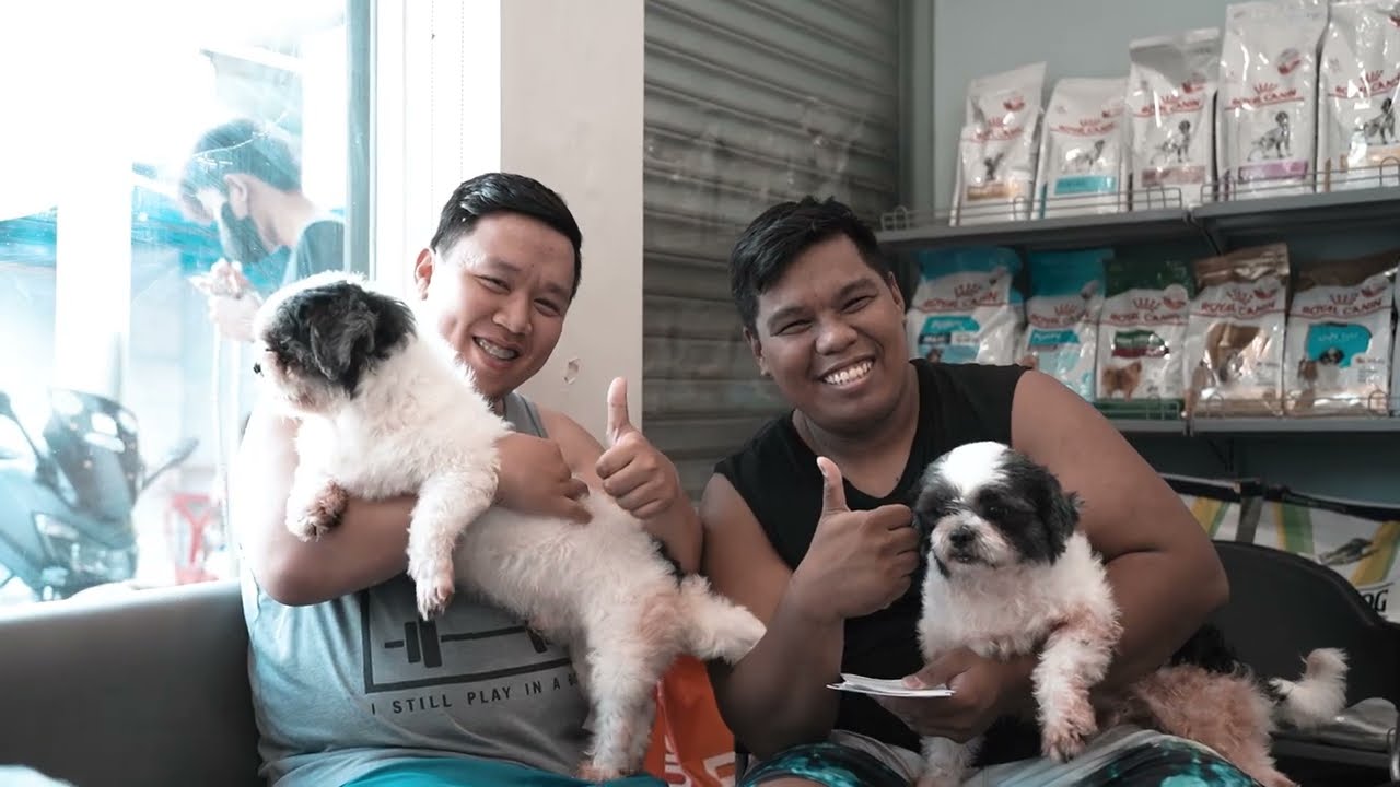 CONSULT A VET at Imus, Cavite