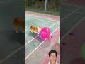 Beautiful funny dog#sytisfing #challenge #gedgets