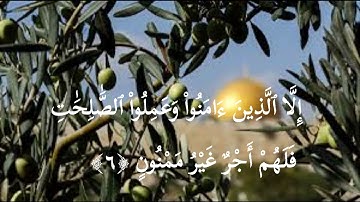 وَالتِّينِ وَالزَّيْتُونِ (1) وَطُورِ سِينِينَ (2) وَهَذَا الْبَلَدِ الْأَمِينِ (3) / سورة التين