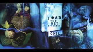 Video thumbnail of "Toad the Wet Sprocket - "Throw it all away""