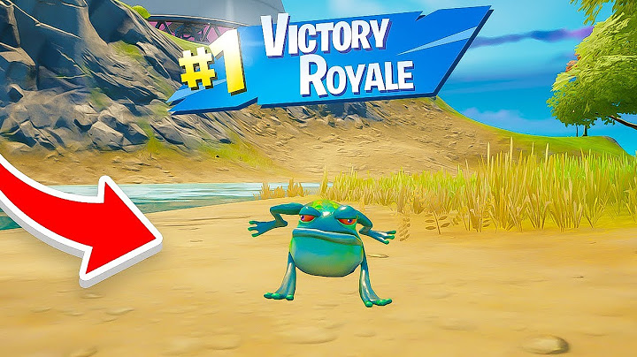 DEI A VITÓRIA PRA UM SAPO NO FORTNITE!