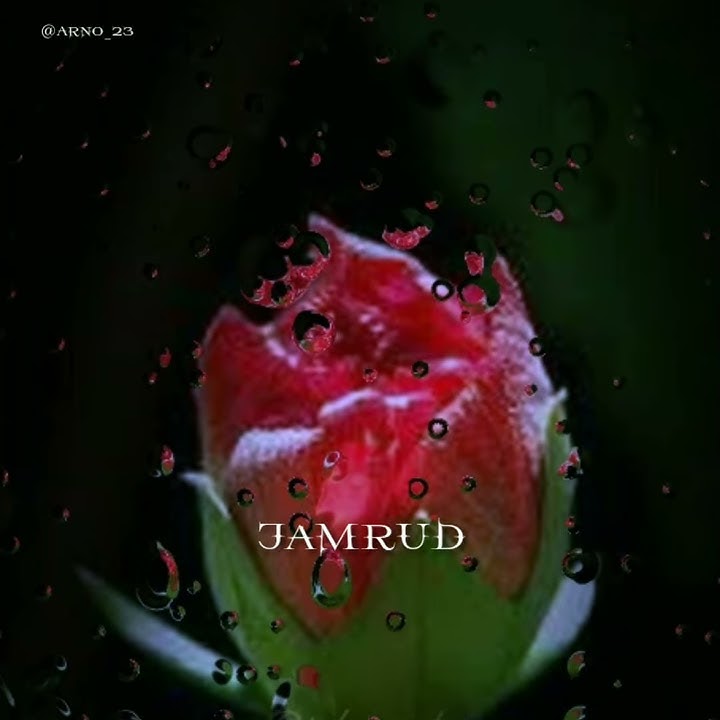 Jamrud mawar merah