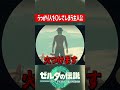 我慢比べでうっかり消し炭にしてしまうバカ主人公『ゼルダの伝説ティアーズオブザキングダム』 #shots