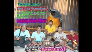 Top Hits - Burung Rumahan Baru Di Take Over 2 5 Jeti
