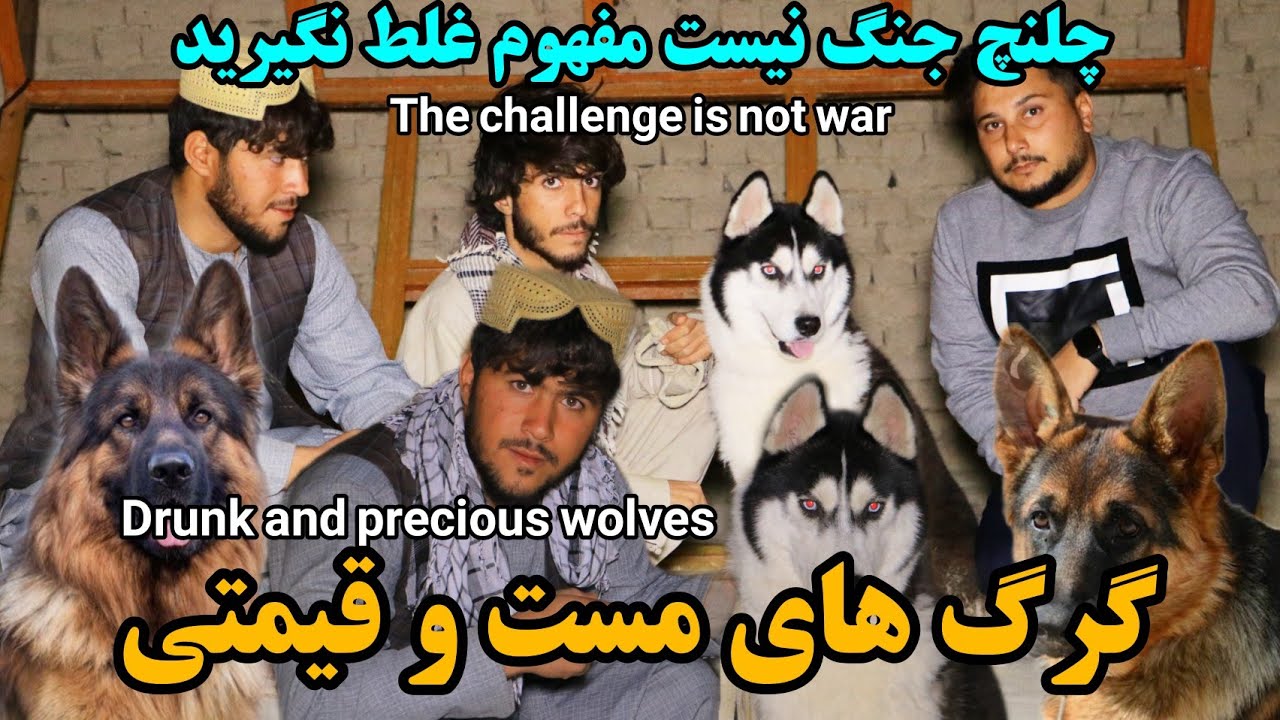 شوق | چلنج مزمل و رامش برای گرگ باز های افغانستان -The challenge is not war