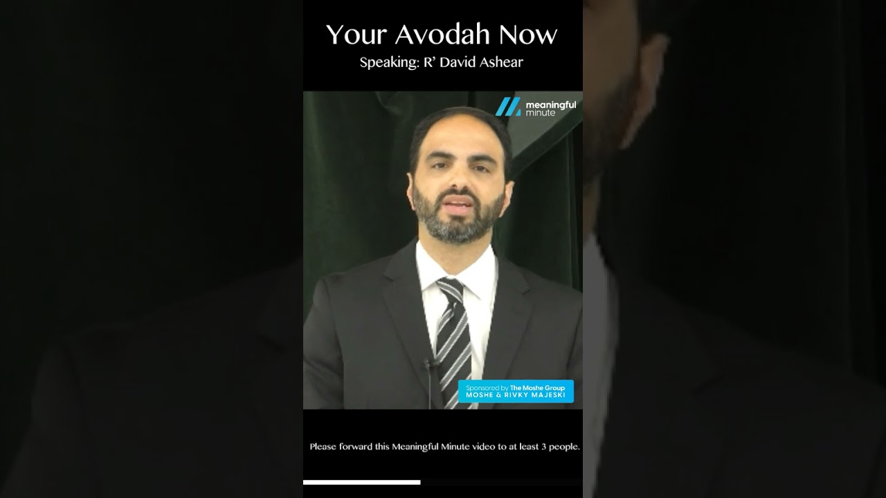 Your Avoida Now