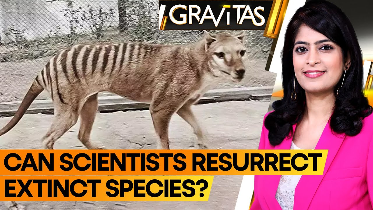 Could science really resurrect the Tasmanian Tiger?