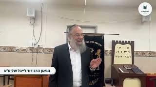 שיעור כללי מהגר&quot;ד לייבל בסוגיית &quot;מצווה הבאה בעבירה&quot; סוכה כ&quot;ט ע&quot;ב | ישיבת המתיבתא