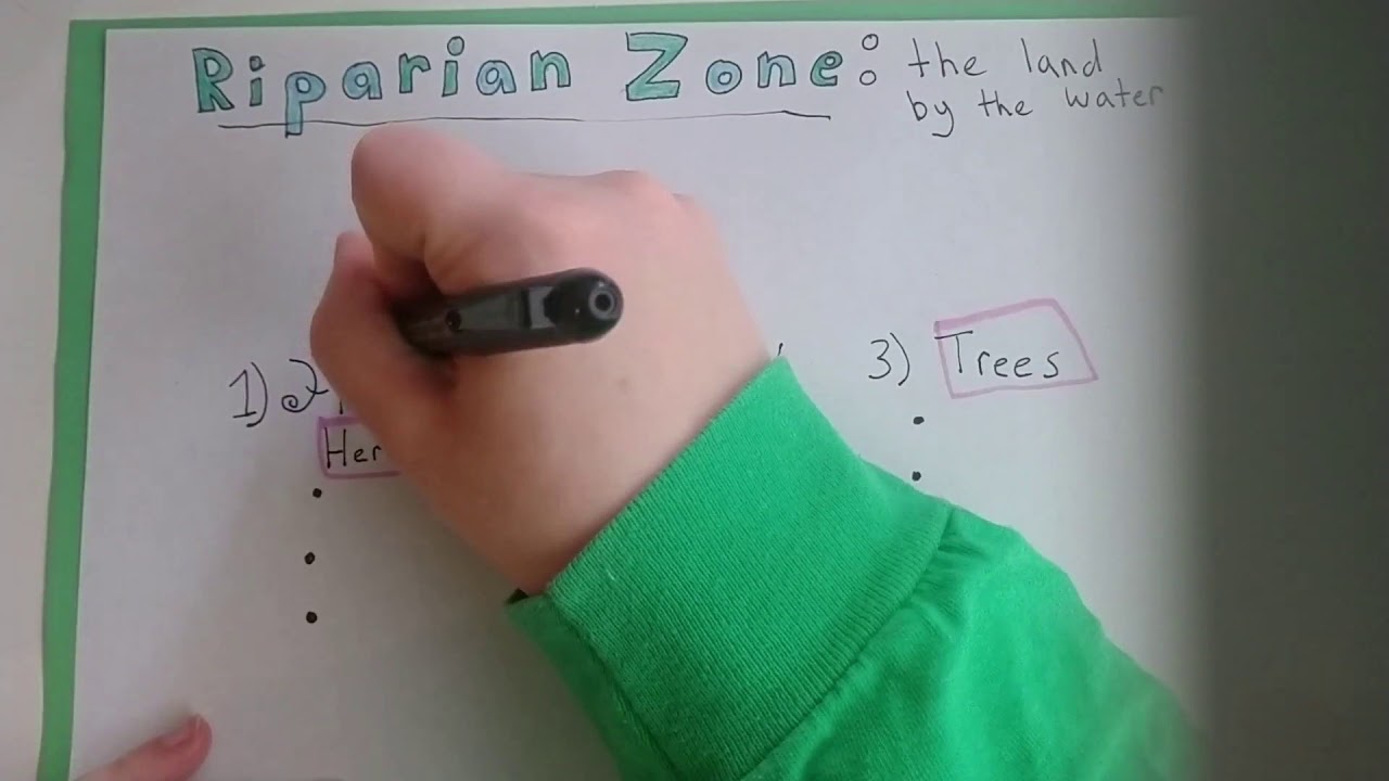 Slough School: Riparian Zone 1 out of 4