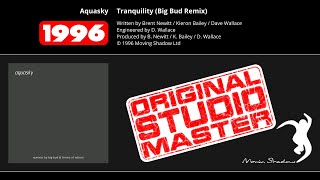 Aquasky: Tranquility (Big Bud Remix) (SHADOW76R-X) | Moving Shadow
