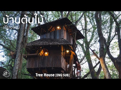 วีดีโอ: โรงแรมต้นไม้