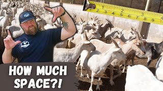How much space do goats need?