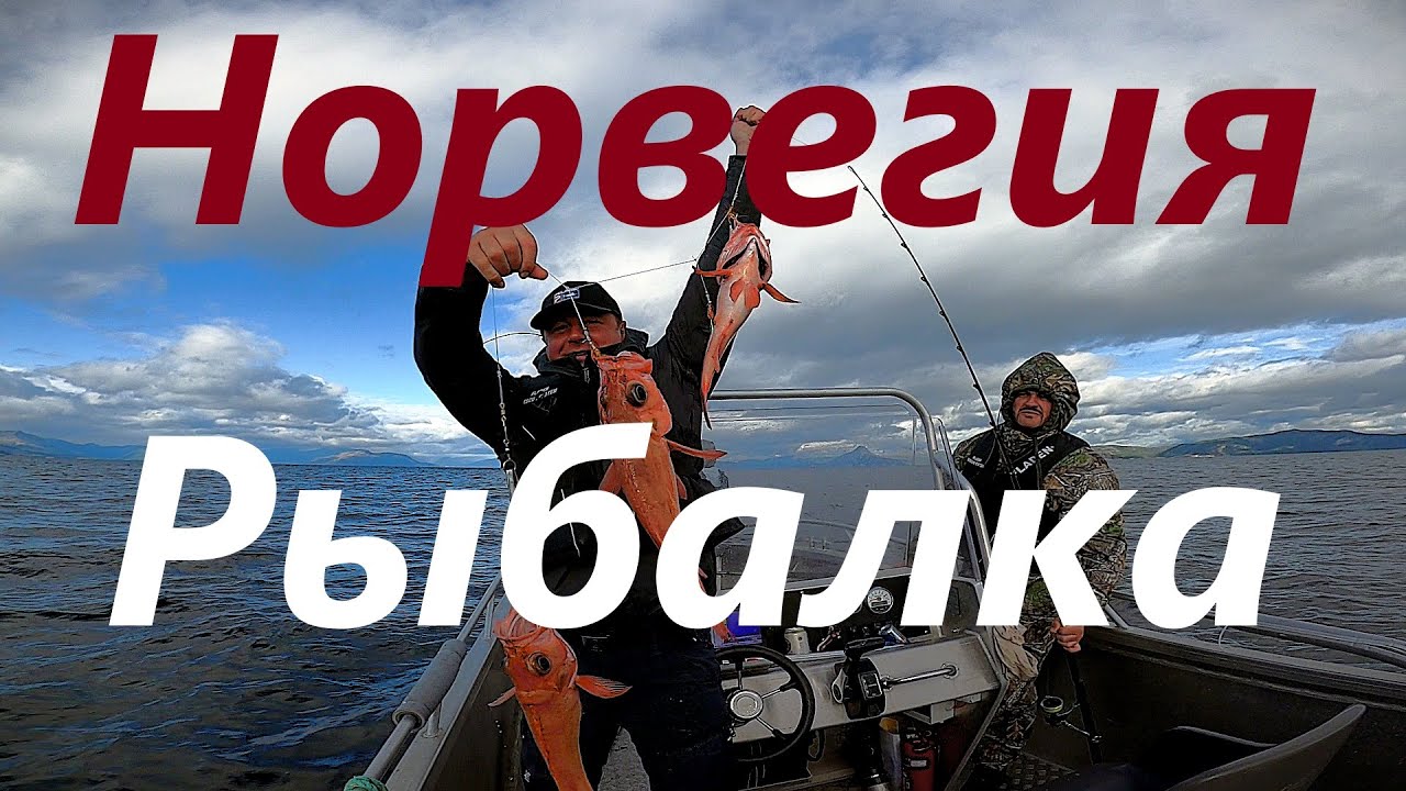 РЫБАЛКА В НОРВЕГИИ - ОТ ДУШИ / FISHING IN NORWAY