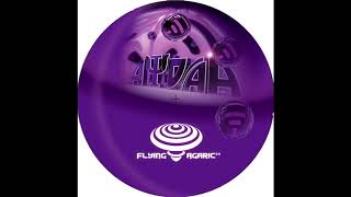 Flying Agarik 14 B2 - Aydaa - Revival