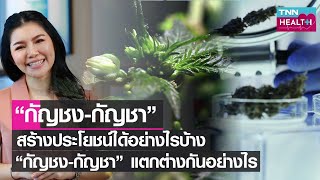 “กัญชง-กัญชา” พ้นยาเสพติดให้โทษ สร้างประโยชน์ได้อย่างไรบ้าง l TNN HEALTH l 16 04 65