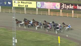 Vidéo de la course PMU PRIX LIMITED EDITION