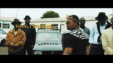 Big zulu-Imali eningi ft.Intaba Yase Dubai and Ricky Rick MUSIC VIDEO[SOUTH AFRICAN HITS] 🔥🔥🔥❤❤❤