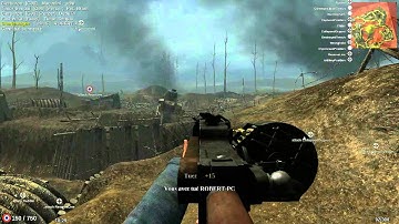 Bug on Verdun online