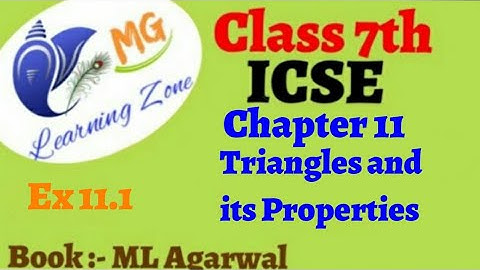 Class 7th |Ch 11 | Triangles and its Properties | Ex 11.1