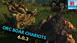 Celebrity Are Orc Boar Chariots Any Good in Patch 6.0.3? - Greenskins Unit Focus Net Worth