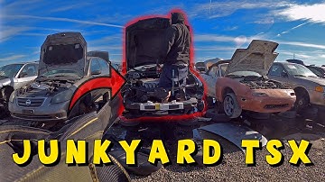 CHEAPEST TSX K24A2 ARE FOUND IN JUNKYARDS !