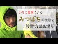 みつばち導入！管理方法と注意点とは！？