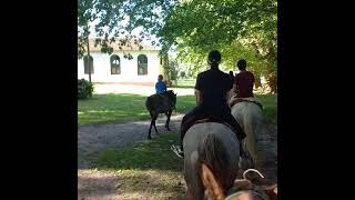 Estancia Santa Rita Casco antiguo
