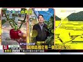 來嚐「秦朝」苦瓜 台灣農業經驗再輸出@newsebc