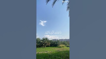قرآن كريم 🤍🙂↔️ #قرآن #اكسبلور #المصحف #دويتو #الرحمن #لايك #ترند #foryou