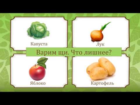 Дидактическая видео игра "Что лишнее?" (3+)