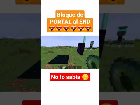 Bloque de PORTAL al END ??????