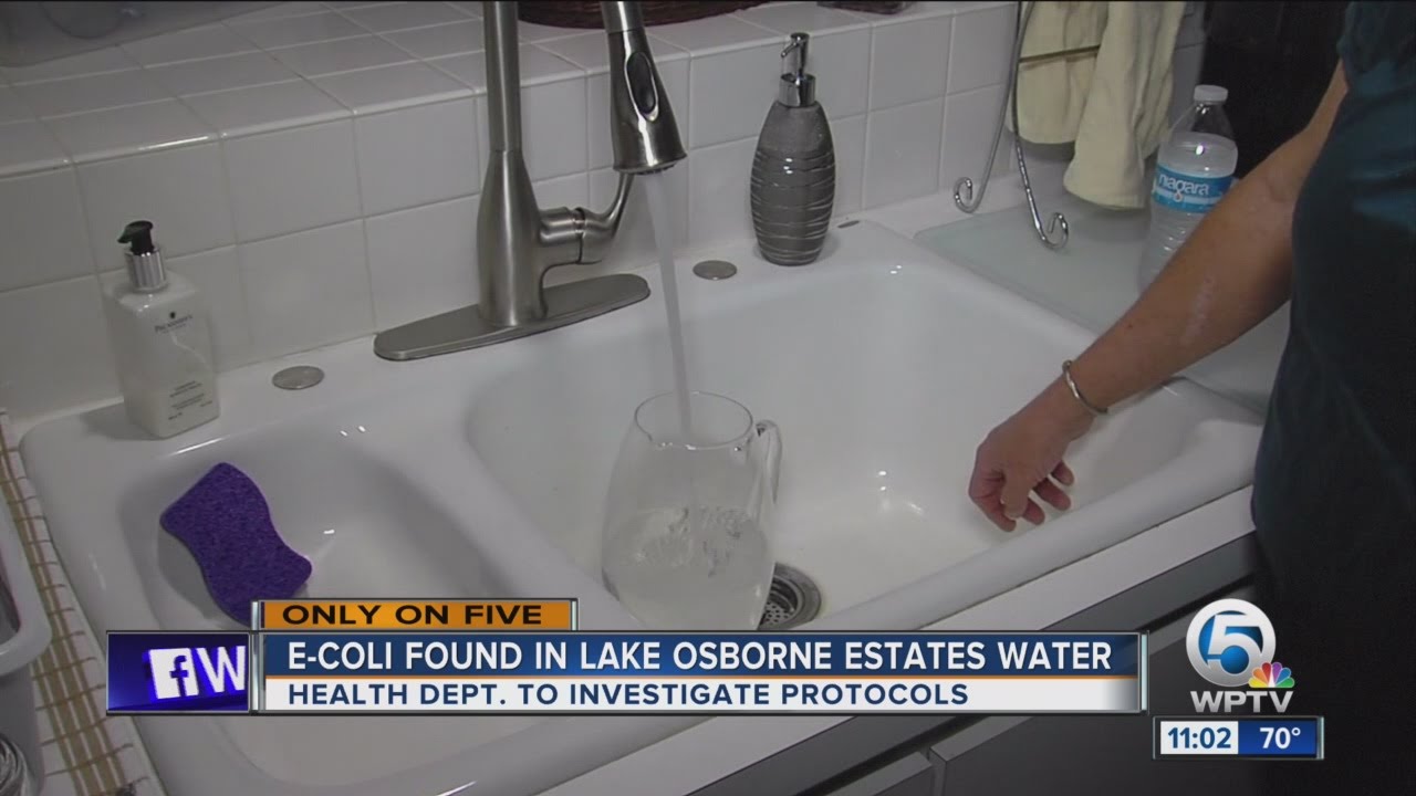 Ecoli found in Lake Osborne Estates water YouTube