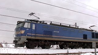 EF510-508牽引高速貨物4091ﾚ　吹田→東青森